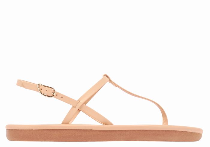 Sandales Bride Arrière Ancient Greek Sandals Lito Flip Flop   | BYB-4897862